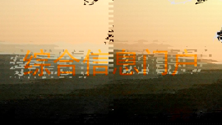 综合信息门户