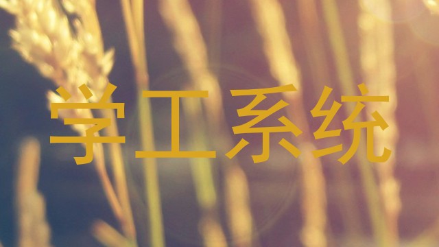 学工系统