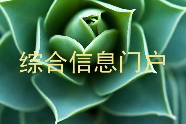 综合信息门户