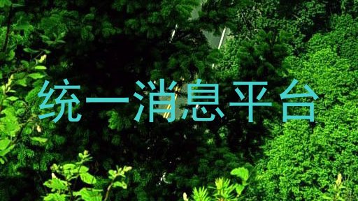 统一消息平台