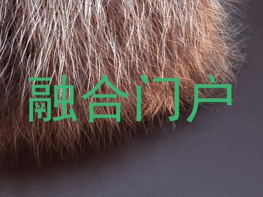 融合门户
