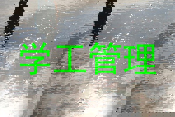 学工管理