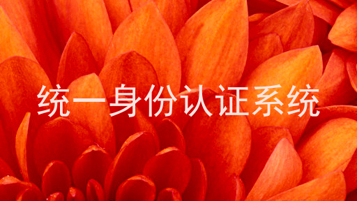 统一身份认证系统