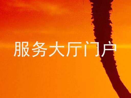 服务大厅门户