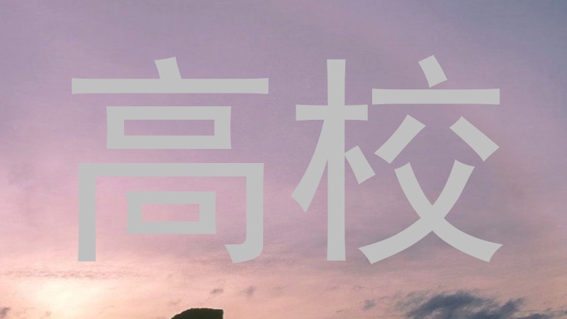 高校