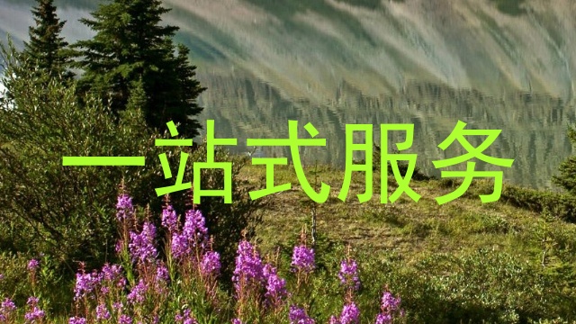 一站式服务