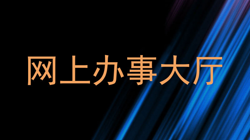 网上办事大厅