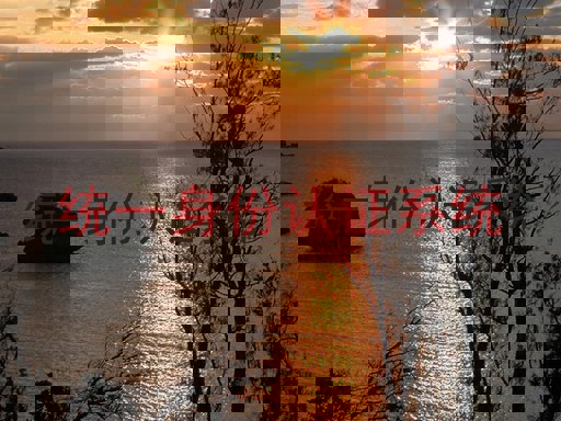 统一身份认证系统