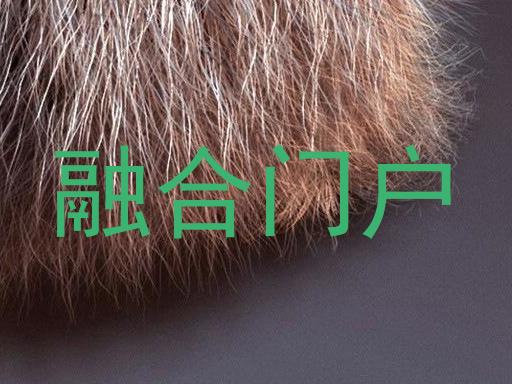 融合门户