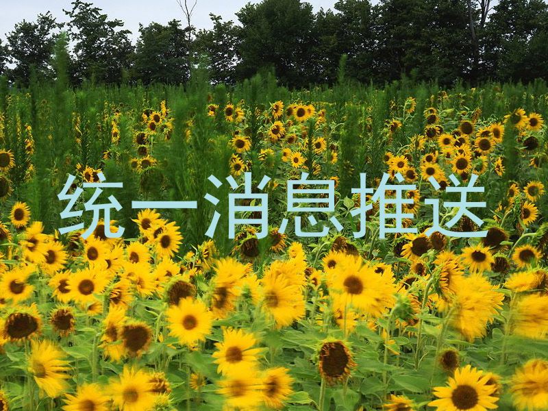 统一消息推送