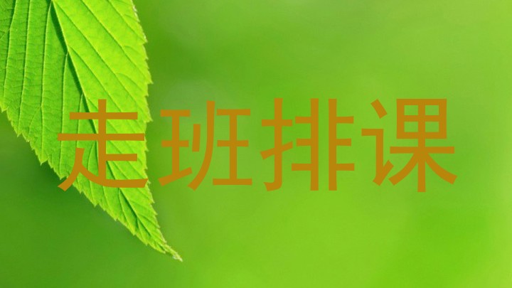 走班排课