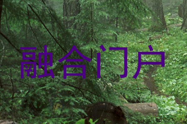 融合门户