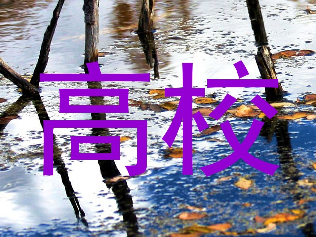 高校