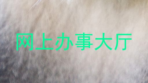 网上办事大厅