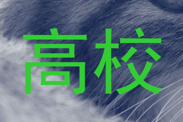 高校