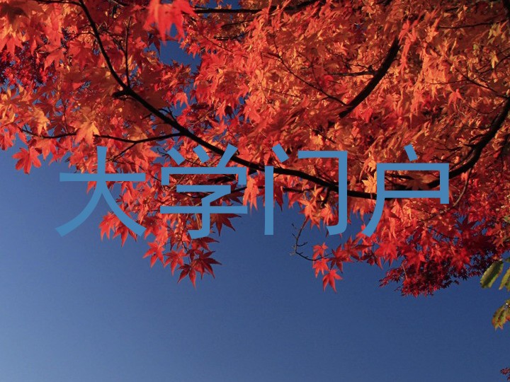 大学门户