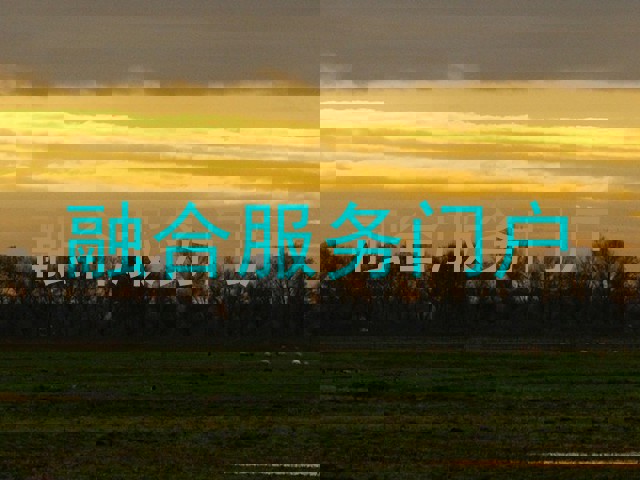 融合服务门户