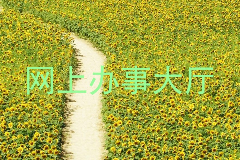 网上办事大厅
