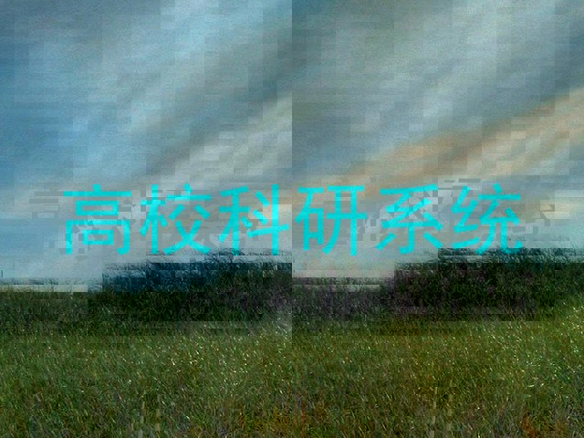 高校科研系统