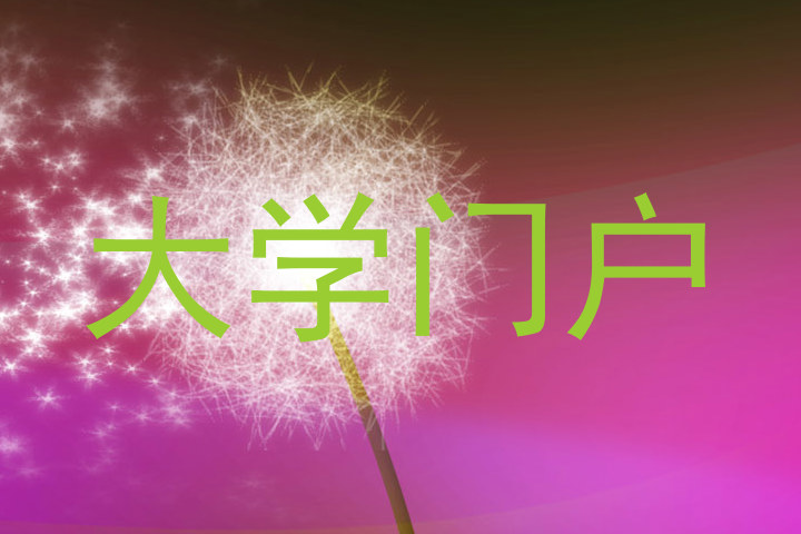 大学门户