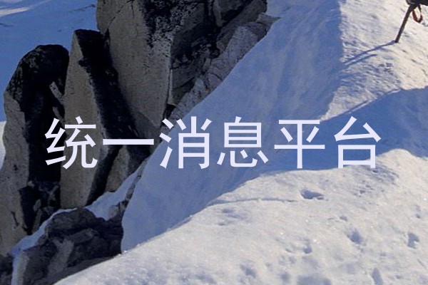 统一消息平台
