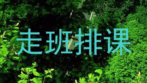 走班排课