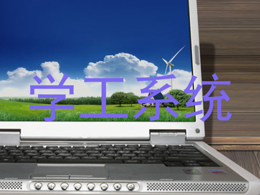 学工系统