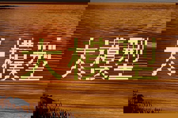 大模型