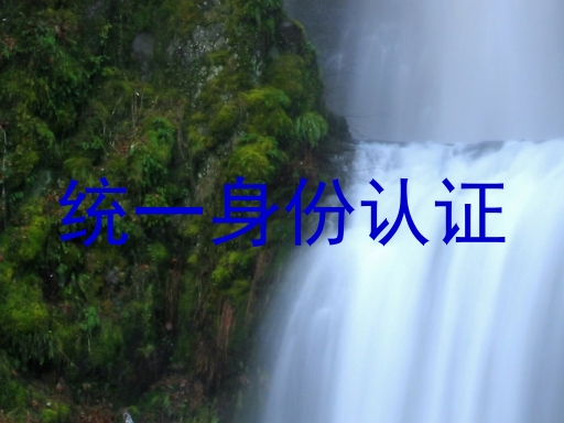 统一身份认证