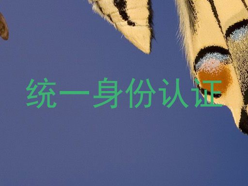 统一身份认证