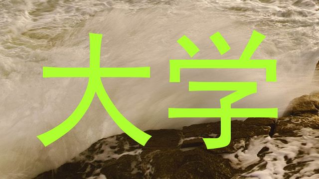 大学