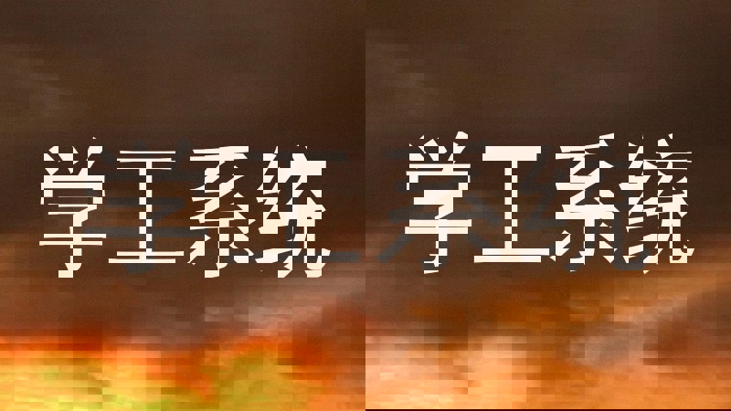 学工系统