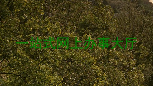 一站式网上办事大厅