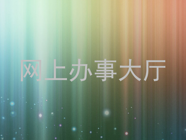 网上办事大厅