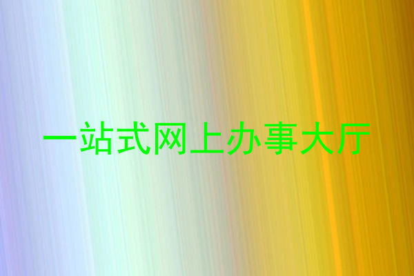 一站式网上办事大厅