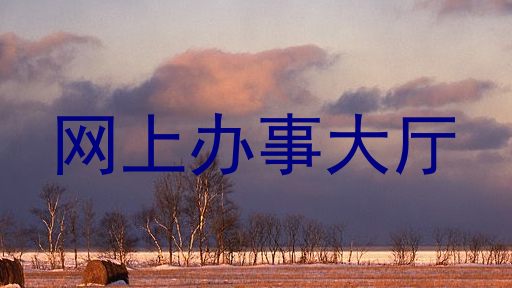 网上办事大厅