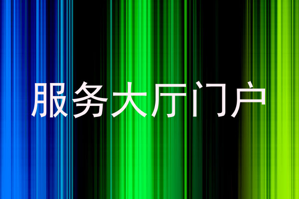 服务大厅门户