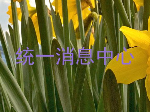 统一消息中心