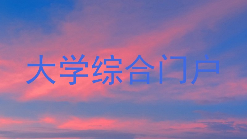 大学综合门户