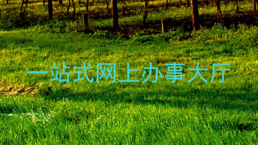 一站式网上办事大厅
