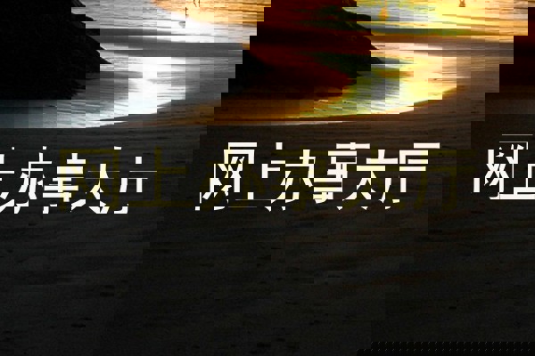 网上办事大厅