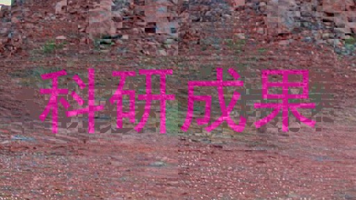 科研成果