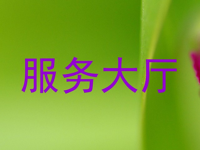 服务大厅