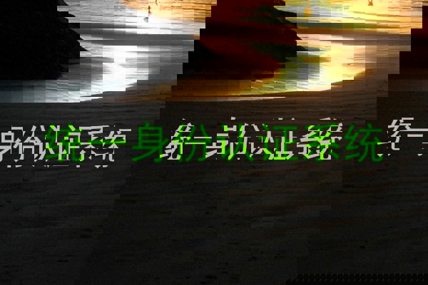 统一身份认证系统