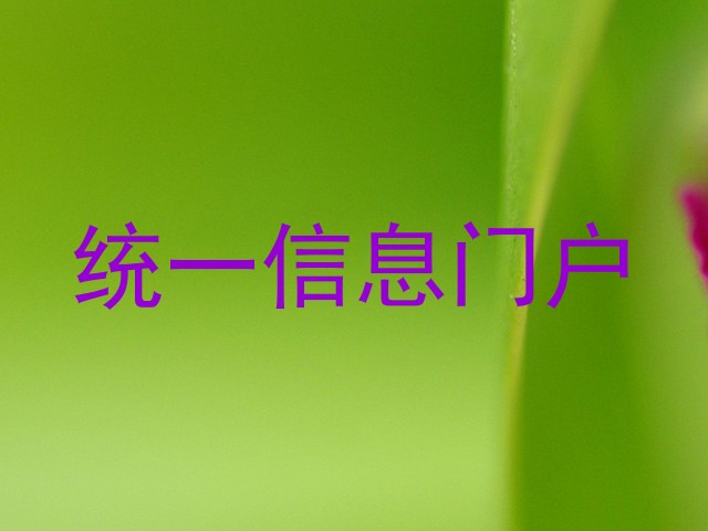 统一信息门户