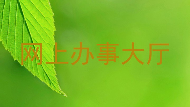 网上办事大厅