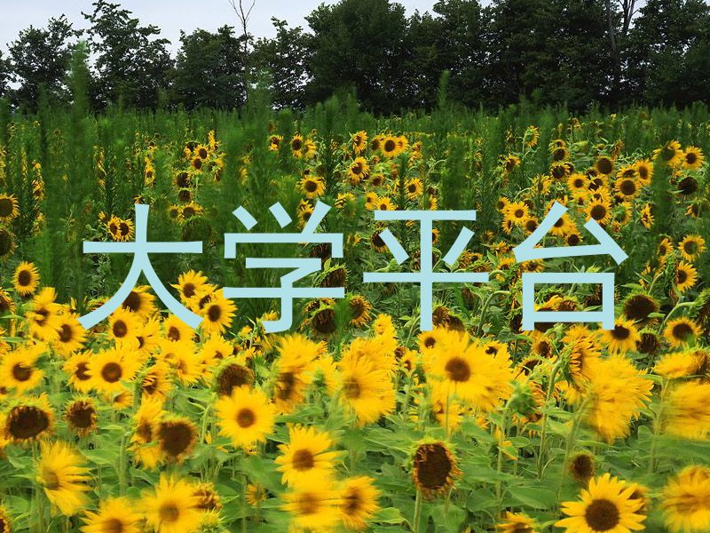 大学平台