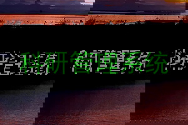 科研管理系统