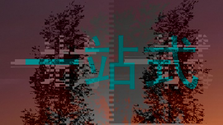 一站式
