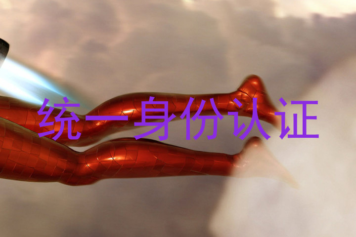 统一身份认证
